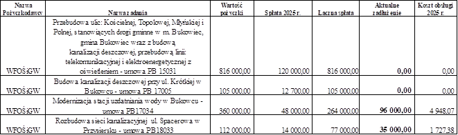 Dlug_publiczny_2025-1.png