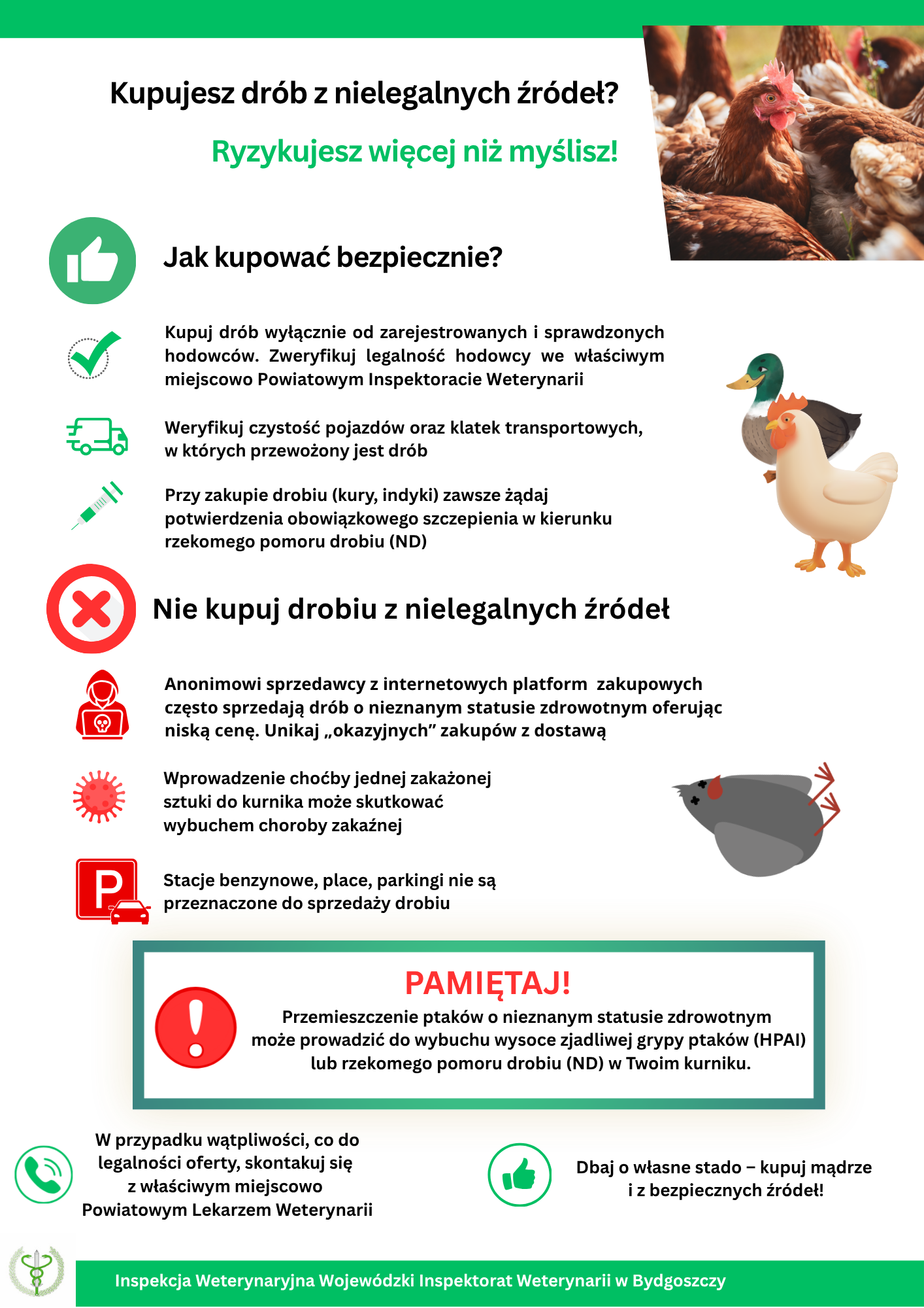Ulotka_informacyjna_dot._handlu_drobiem.png